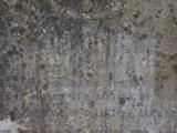 image of grave number 622592